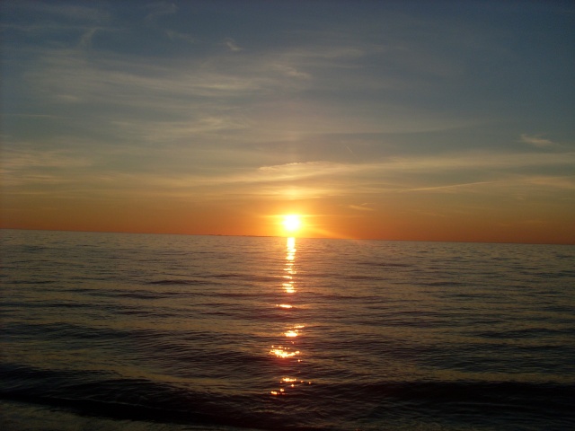SL383542.JPG