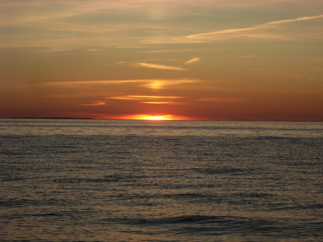 SL383543.JPG