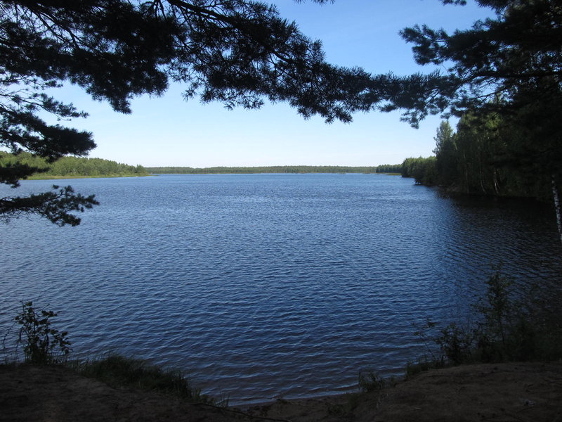 Picture 007.jpg