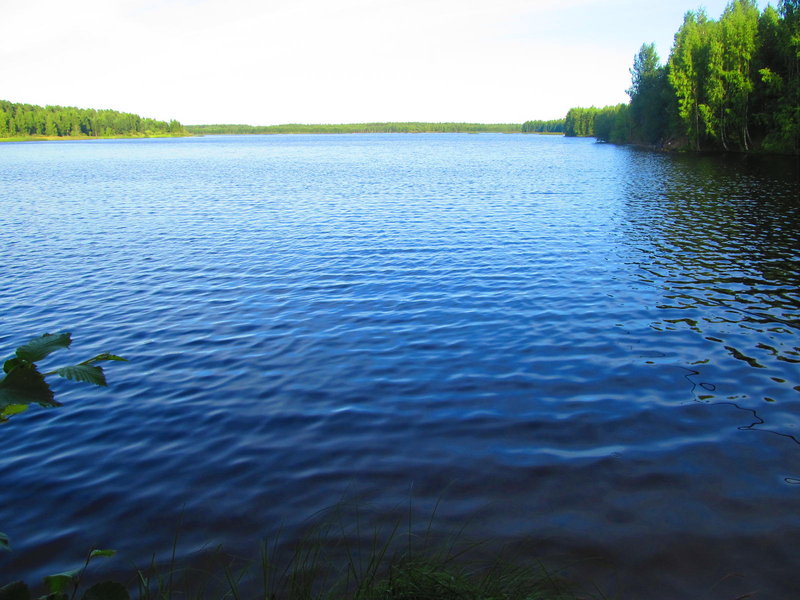 Picture 017.jpg