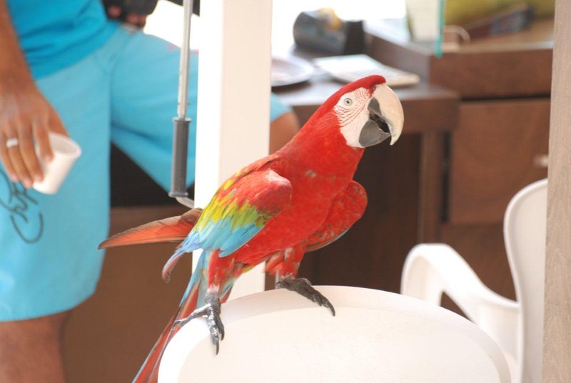 DSC_0436.jpg