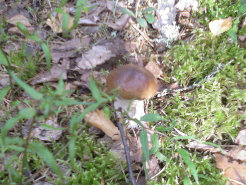 Photo-0013.jpg