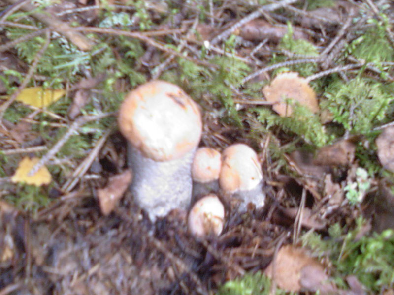 Photo-0014.jpg
