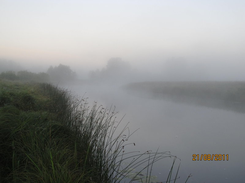 Picture 005.jpg