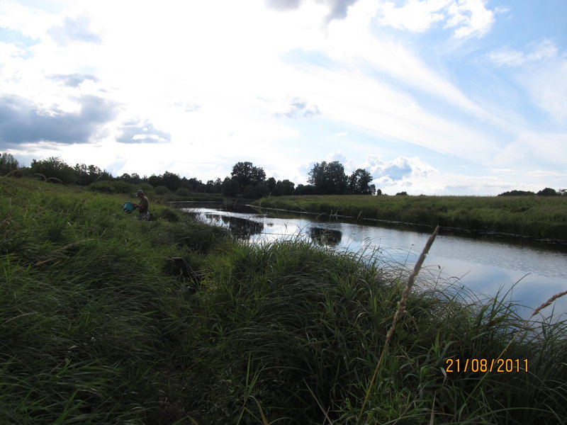 Picture 009.jpg
