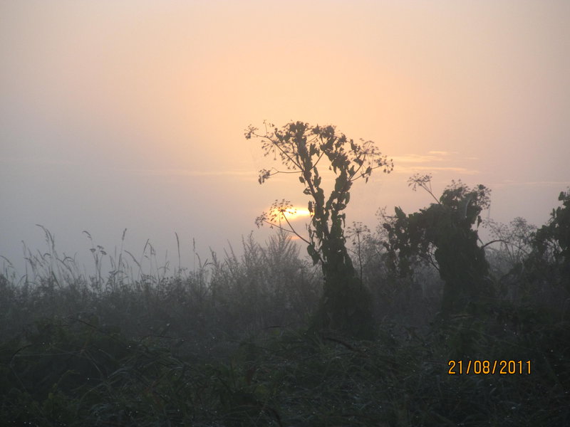 Picture 007.jpg