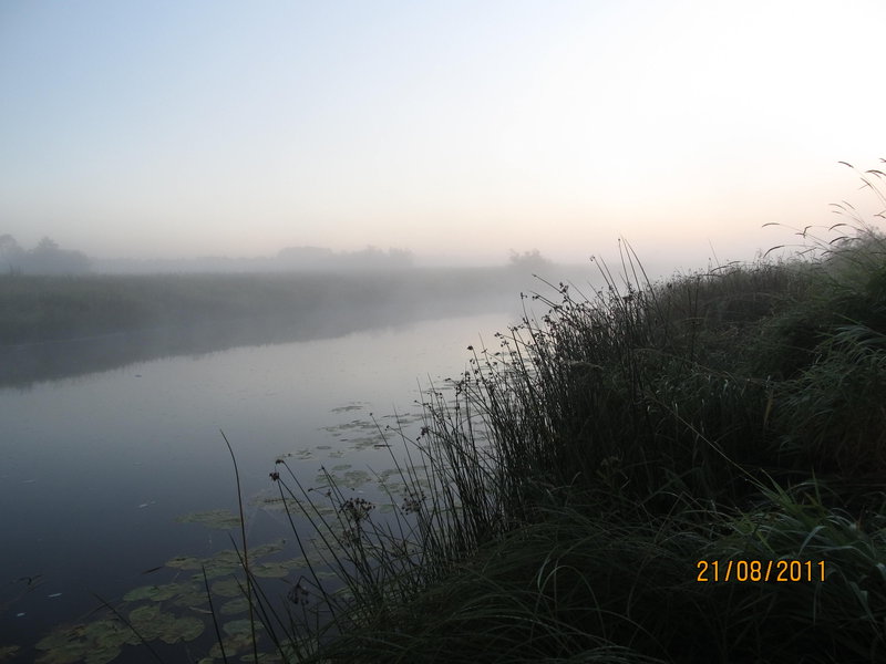 Picture 003.jpg