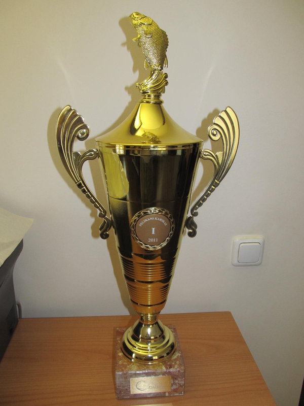 Кубок Пеликана 2011a.jpg