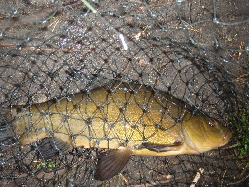 P1015592.JPG