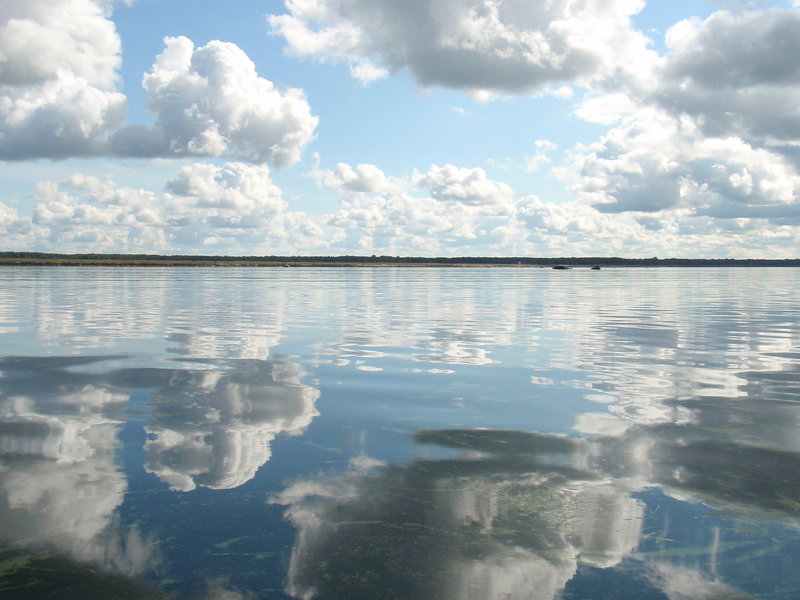 P1025607.JPG