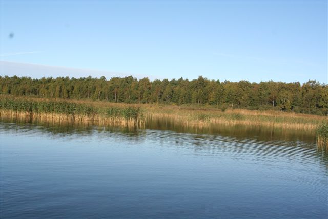 photoz 007.jpg