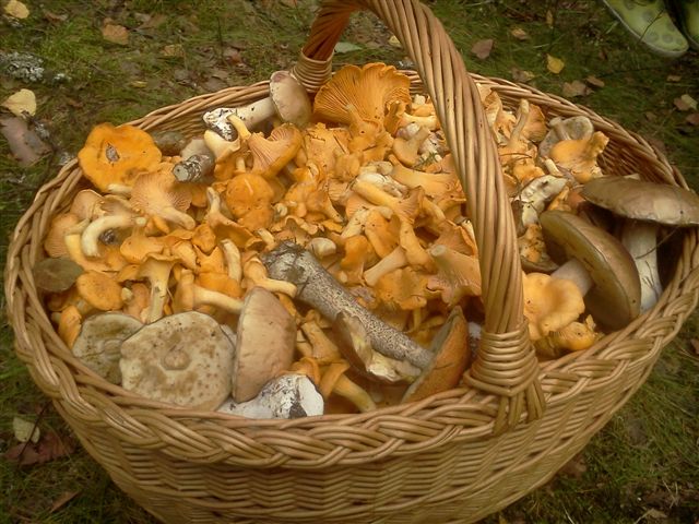 IMG174.jpg