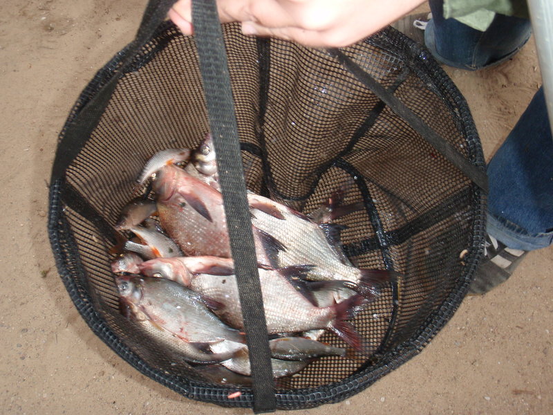 P1055849.JPG