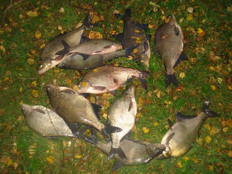 Picture 115.jpg