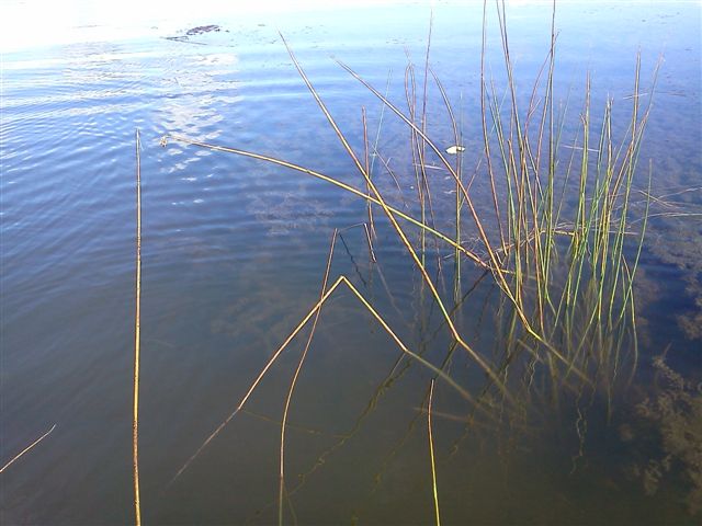 IMG209.jpg