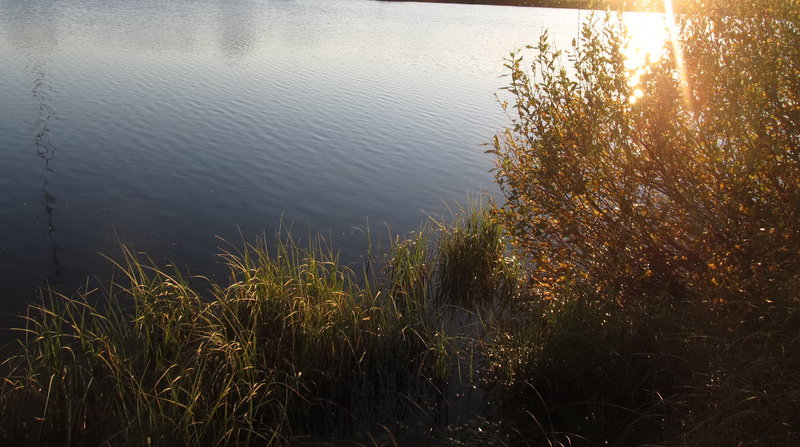 Picture 037a.jpg